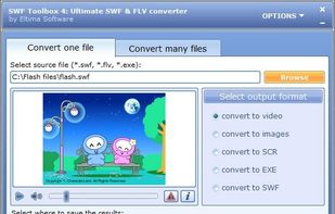 Flash to Video conversion