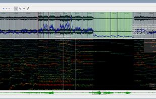 Sonic Visualiser 1.0 showing about a minute of the final movement of Mahler's 9th symphony, performed by the Czech Philharmonic under Vaclav Neumann. (In fact the whole final movement is loaded and may be scrolled through – see the green overview at the bottom of the window.)