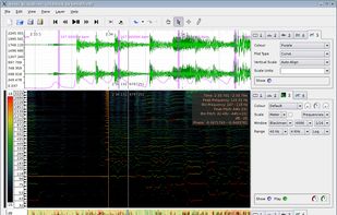 Sonic Visualiser 0.9 showing a waveform, beat locations detected by a Vamp plugin, an onset likelihood curve, a spectrogram with instantaneous frequency estimates and a "harmonic cursor" showing the relative locations of higher harmonics of a frequency, a waveform mapped to dB scale, and an amplitude measure shown using a colour shading.