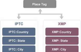 Automatically syncing tags with Metadata (XMP, IPTC, MWG)