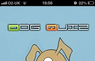 Dog Quiz screenshot 1