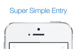 Super Simple Entry