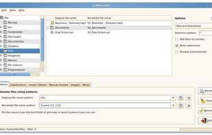 pyRenamer screenshot 1