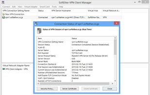 SoftEther VPN screenshot 2