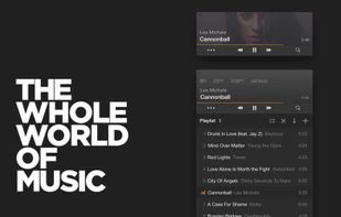 Vox Music Player screenshot 1