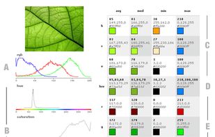 Image Color Summarizer screenshot 1