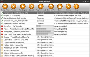 DRMBuster screenshot 2