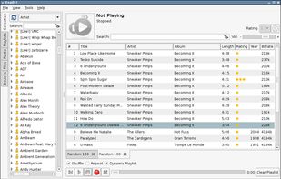 The New Rating System