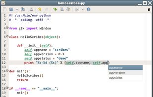 Scribes code completion