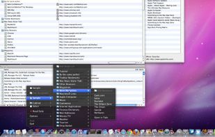 URL Manager Pro screenshot 2