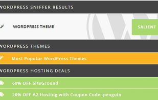 Chrome Extension • WPSNIFFER