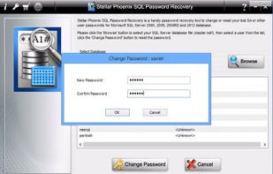 Stellar Phoenix SQL Password Recovery screenshot 2