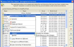 Delete FXP Files screenshot 1