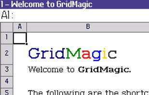 GridMagic (MiniExcel) screenshot 1