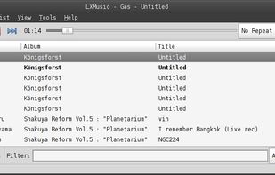 LXMusic screenshot 1