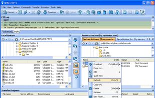 WISE-FTP screenshot 1
