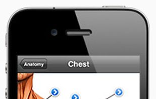 Fitness Pro screenshot 2