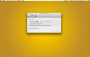 Codinn SSH Proxy screenshot 1