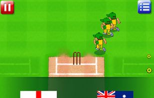 Big Cup Cricket screenshot 1
