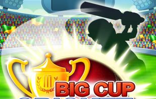 Big Cup Cricket screenshot 3