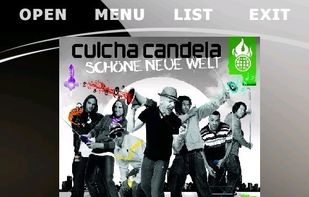 A custom skin (iGlass) from the MortPlayer forum