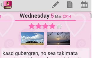 daily diary entry editing view