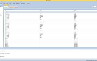 MongoVUE screenshot 1