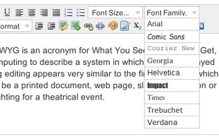 NicEdit screenshot 1