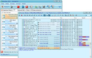 Main Window and Preview Window