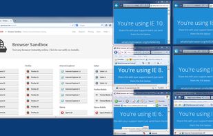 Different versions of Internet Explorer running side-by-side in containers on the same machine, streamed directly from Turbo.net.

Containers allow developers, testers, and users to run multiple application versions side-by-side, even beta versions.