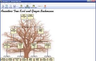 Ahnenblatt screenshot 2
