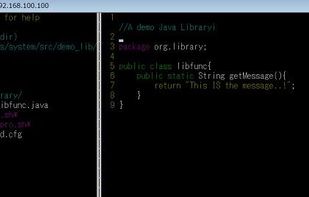 Terminal IDE screenshot 1