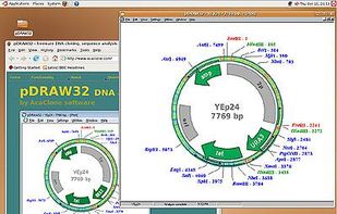  pDRAW32 on Ubuntu with Wine