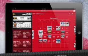Chicago Blackhawks screenshot 3