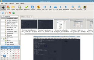 Productive Peach screenshot 1