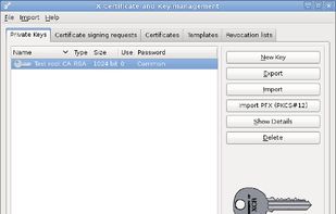 xca - X Certificate and Key management screenshot 1