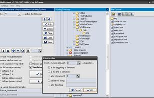 Inserting a file counter