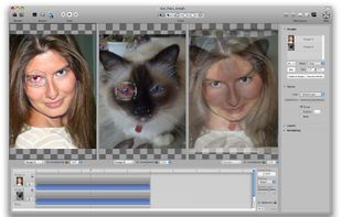 Fine-tune Bezier's curves around the shapes