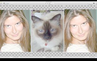 1st step for creating a morphing animation: set points on faces