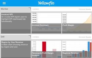 YellowFin screenshot 3
