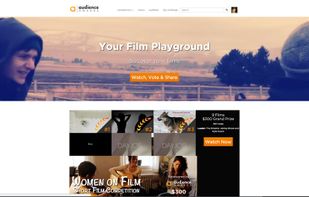 The Audience Awards screenshot 1