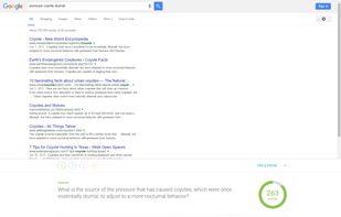 A Google a Day screenshot 2