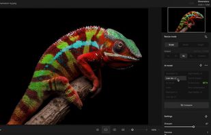 Topaz Gigapixel screenshot 1