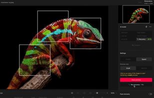 Topaz Gigapixel screenshot 2