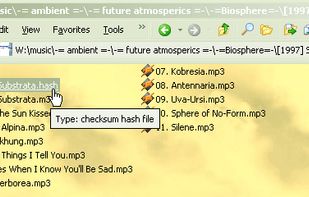 checksum screenshot 2