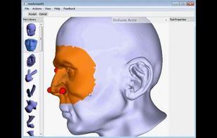 meshmixer screenshot 2