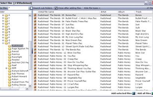 The screen where you select which files you want to rename