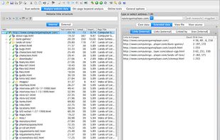 A1 Website Analyzer screenshot 1