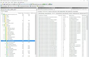A1 Website Analyzer screenshot 1