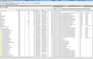 A1 Website Analyzer screenshot 2